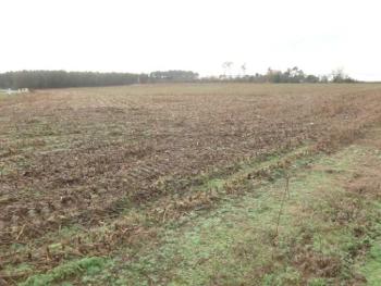 Villenave Landes terrain photo 4660371