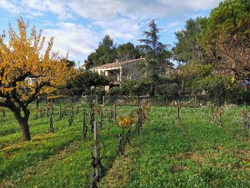 Cordey Calvados Villa Bild 4633175