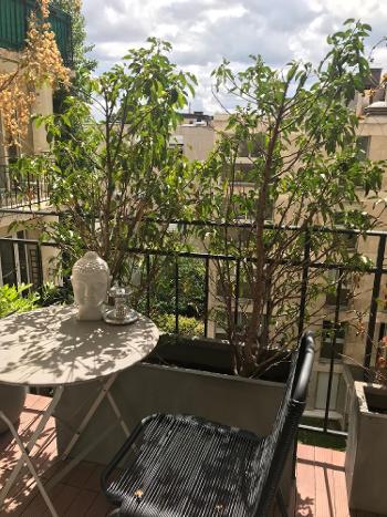 Neuilly-sur-Seine Hauts-de-Seine maison photo 4633181