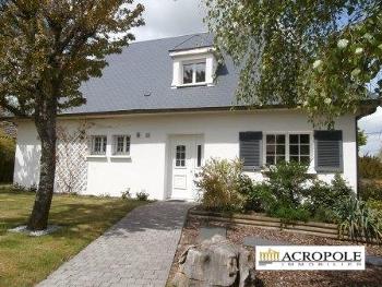 Saint-Aignan-le-Jaillard Loiret Haus Bild 4644751