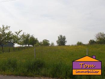 Loudrefing Moselle terrain photo 4638049