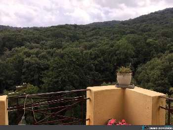 Lucciana Haute-Corse house picture 5173963