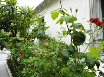 Colombes Hauts-de-Seine house picture 5214835