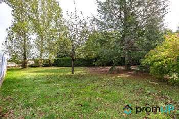 Brie Charente terrain picture 5208710