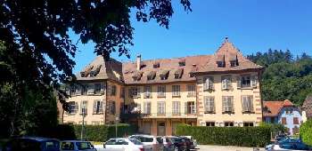 Sainte-Marie-aux-Mines Haut-Rhin apartment picture 5249968