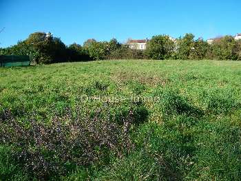 Mugron Landes terrain picture 5218815