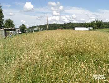 Châtel-sur-Moselle Vosges Grundstück Bild 5219052