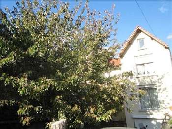 Colombes Hauts-de-Seine house picture 5214844