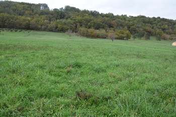Aubas Dordogne terrain picture 5313963