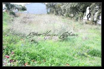 Cavaillon Vaucluse terrain picture 5265645