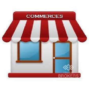 Maisons-Alfort Val-de-Marne commercial picture 5281757