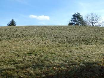 Le Tholy Vosges terrain photo 5314723