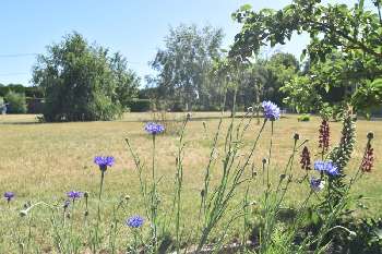 Le Luart Sarthe terrain picture 5294321
