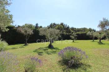 Saint-Rémy-de-Provence Bouches-du-Rhône house picture 5269107