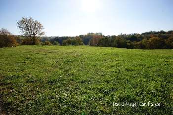 Lengelsheim Moselle terrain picture 5305715