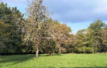 Saint-Aquilin Dordogne terrain picture 5305026
