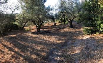 Beaucaire Gard terrain picture 5291002