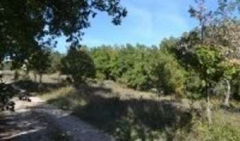 Quinson Alpes-de-Haute-Provence terrain picture 5270275