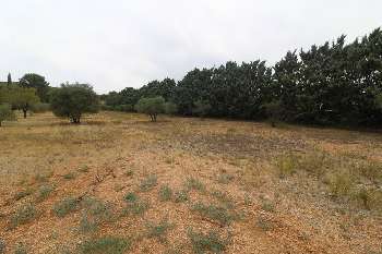 Puget Vaucluse terrain picture 5294529