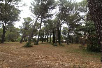 Puget Vaucluse terrain picture 5295107