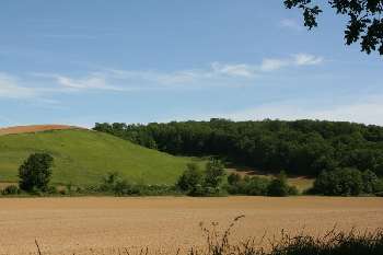 Plaisance Gers terrain picture 5268888