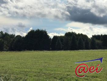 Nevoy Loiret terrain photo 4709862
