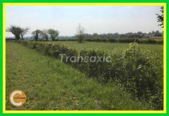 Lugny-Champagne Cher terrain picture 4700198
