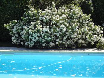 Itxassou Pyrénées-Atlantiques maison photo 4702317