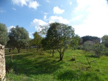 Lorgues Var terrain photo 4692944