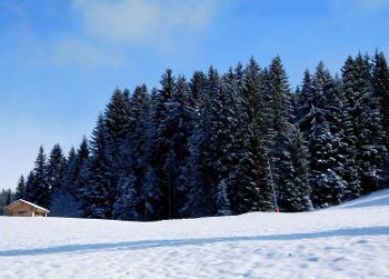 Les Gets Haute-Savoie maison photo 4699567