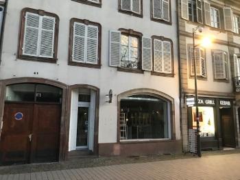 Strasbourg Bas-Rhin maison photo 4703324