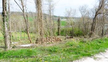 Montcuq Lot terrain photo 4701569