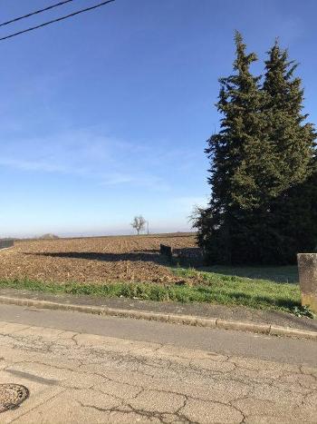 Truchtersheim Bas-Rhin terrain photo 4706576