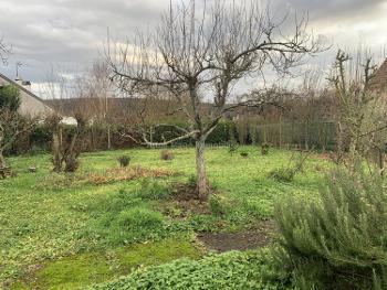 La Ferté-sous-Jouarre Seine-et-Marne maison photo 4699354