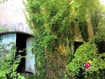 Lusignac Dordogne maison photo 4710337