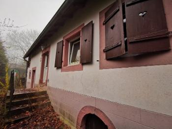 Wingen-sur-Moder Bas-Rhin Haus Bild 4712019