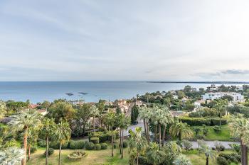 Cannes Alpes-Maritimes maison photo 4680515