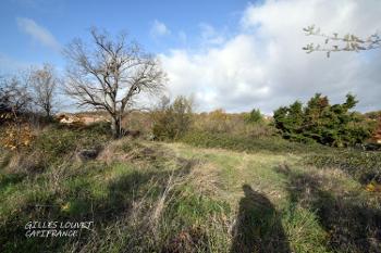 Montech Tarn-et-Garonne terrain photo 4691291