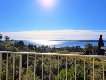 Cannes Alpes-Maritimes appartement photo 4708448