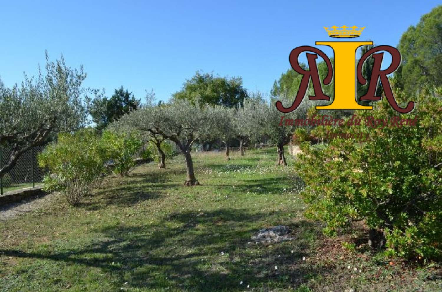 te koop terrein Carcès Provence-Alpes-Côte d'Azur 1