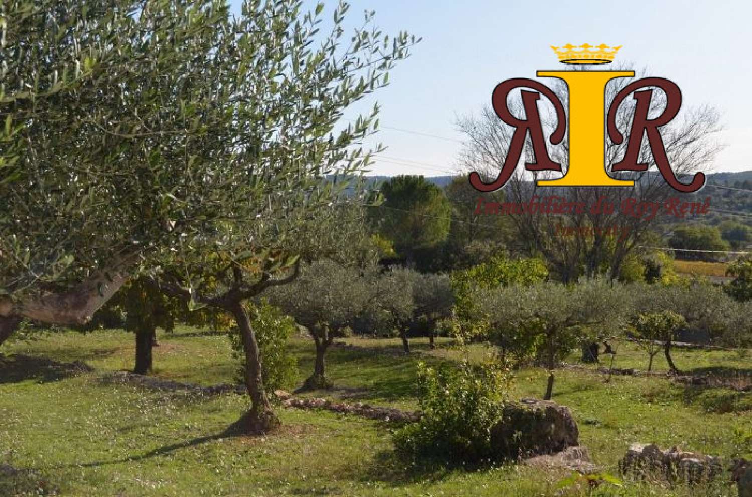 te koop terrein Carcès Provence-Alpes-Côte d'Azur 1