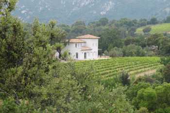 Plan-de-la-Tour Var villa picture 4761901