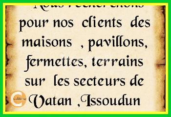 Issoudun Indre house picture 4768227