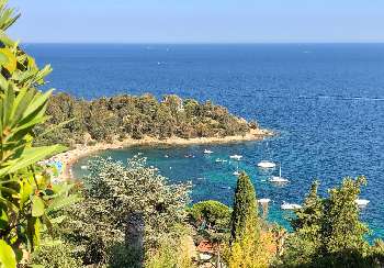 Le Lavandou Var villa picture 4810123