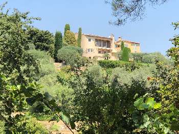Mougins Alpes-Maritimes villa picture 4811804