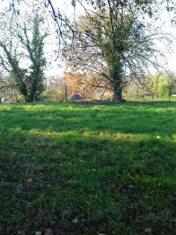 Montmorillon Vienne terrain photo 4813182