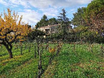 Fourneaux-le-Val Calvados villa picture 4811569
