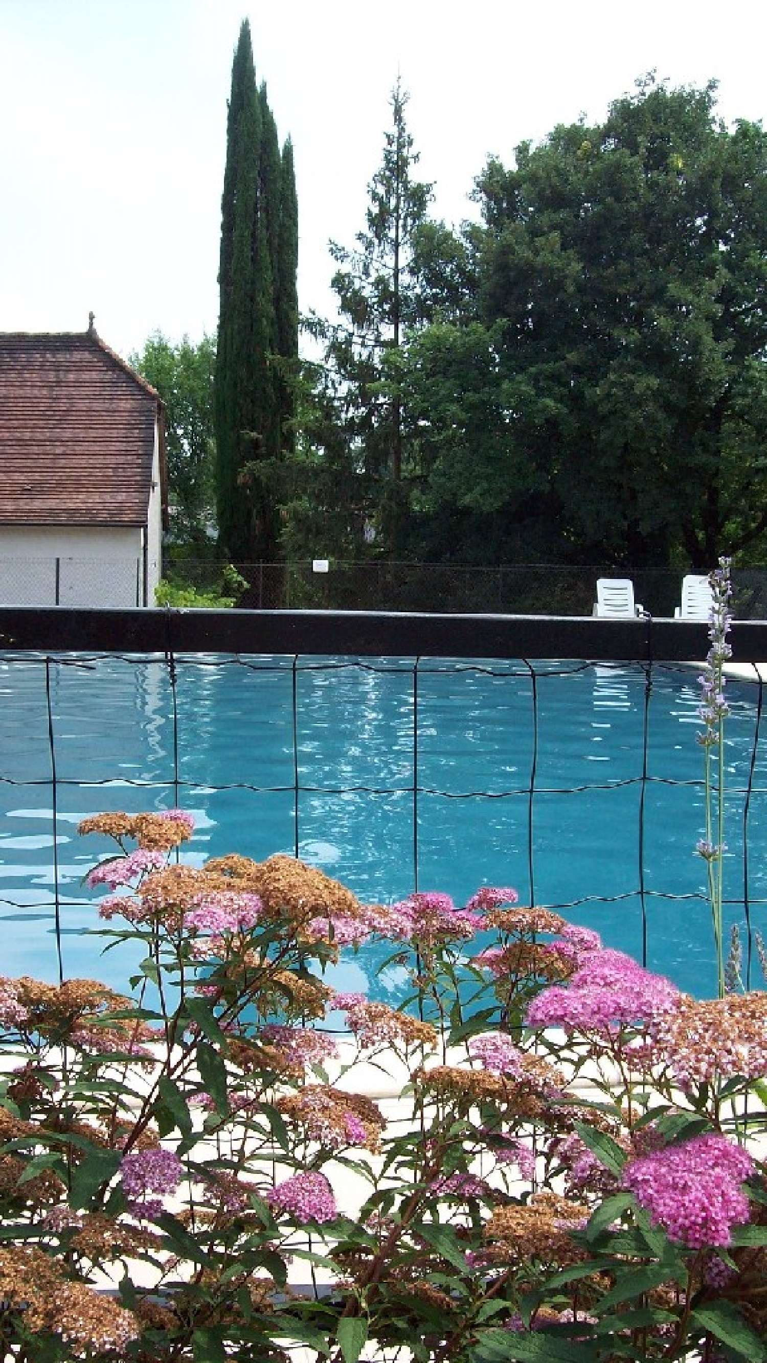 camping te koop Périgueux, Dordogne (Aquitaine) foto 4