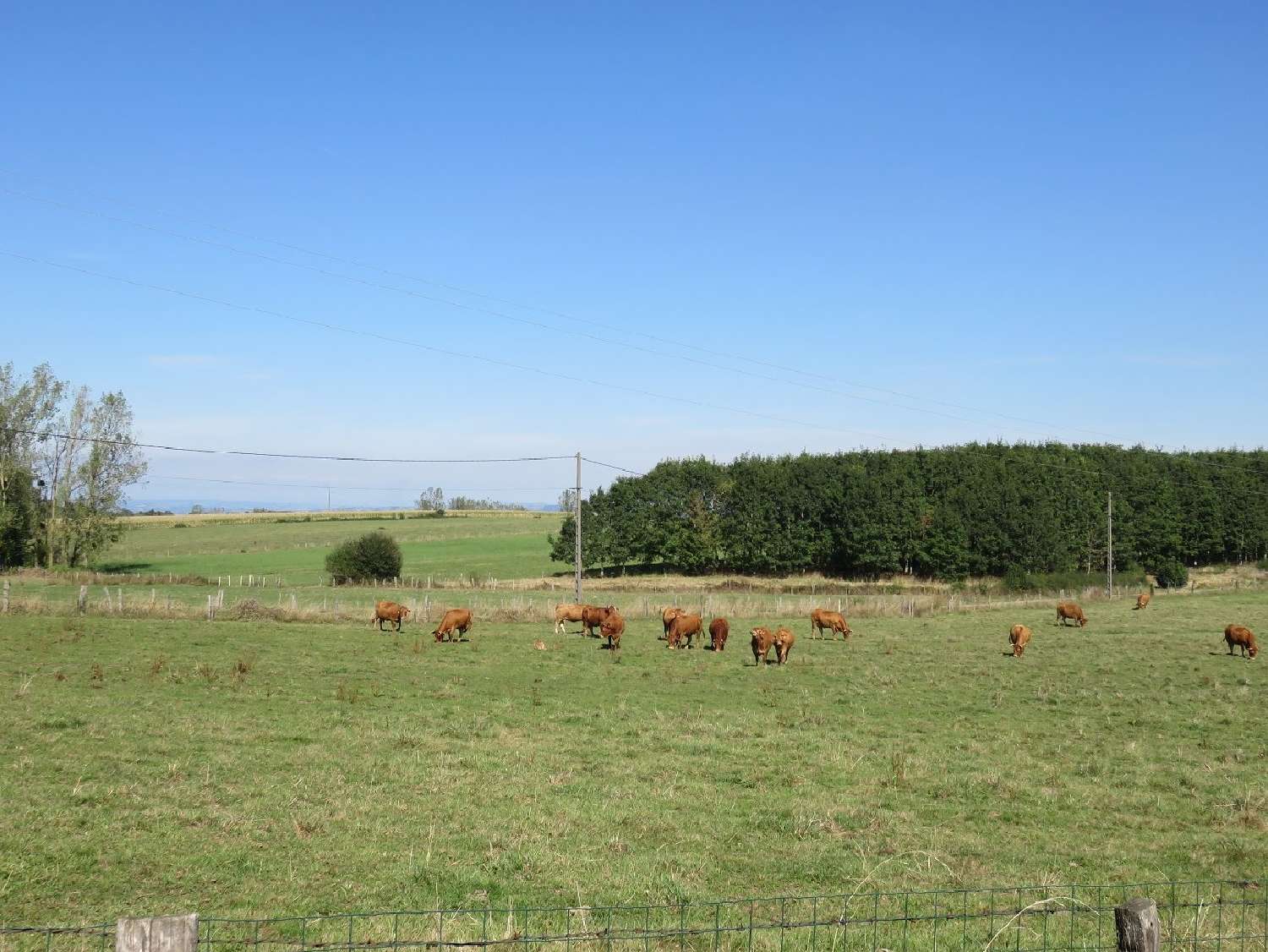 huis te koop Anglars-Saint-Félix, Aveyron (Midi-Pyrénées) foto 4