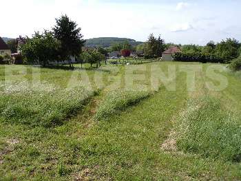 Vulaines Aube terrain picture 4864540